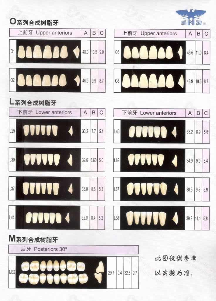 Two Layer Acrylic Resin Teeth